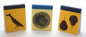 Sea Note Mini Memos