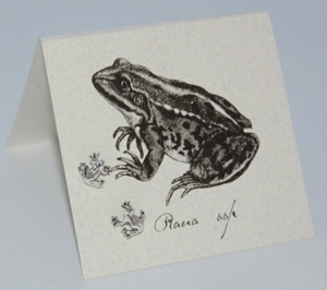 Frog Natural History Earrings