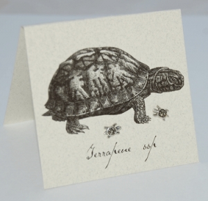 Turtle Marcasite Natual History Earrings