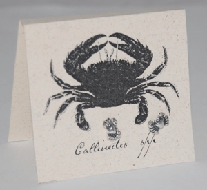 Crab Natural History Earrings