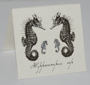 Seahorse Natural History Earrings