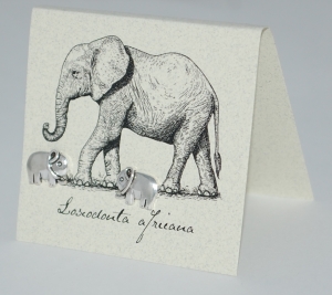 Elephant Natural History Earrings - silver