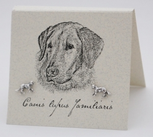 Retriever Natural History Earrings