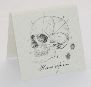Skull Natural History Earrings