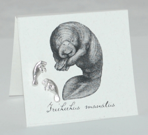 Manatee Natural History Earrings