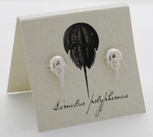 Horseshoe Crab Natural History Earrings