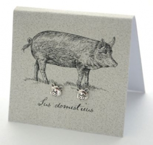 Pig Natural History Earrings - silver
