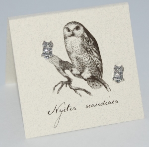 Owl Natural History Earrings