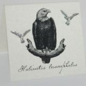 Eagle Natural History Earrings - silver