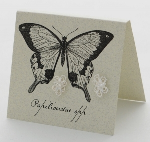 Butterfly Natural History Earrings - silver