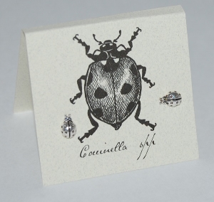 Ladybug Natural History Earrings