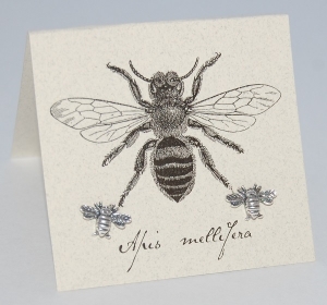 Bees Natural History Earrings