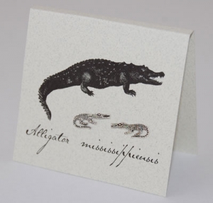 Alligator Natural History Earrings - silver