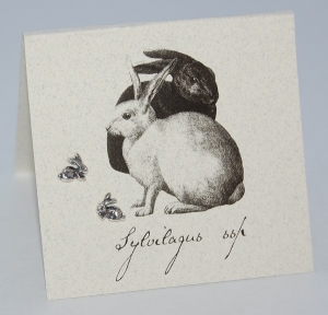Rabbit Natural History Earrings