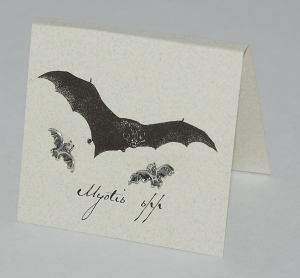 Bat Natural History Earrings