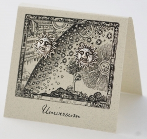 Sun Natural History Earrings - silver