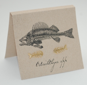 Skeleton Fish Natural History Earrings - gold