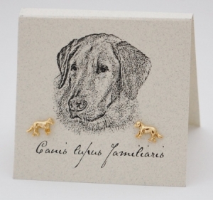 Retriever Natural History Earrings - gold