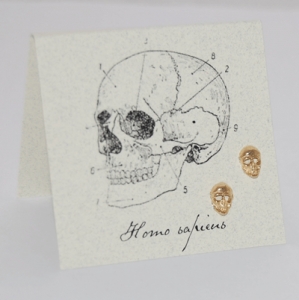 Skull Natural History Earrings - gold