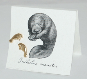 Manatee Natural History Earrings - gold
