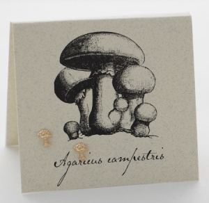 Mushroom Natural History Earrings - gold