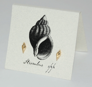 Conch Natural History Earrings - gold