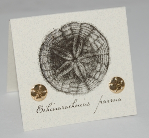 Sand Dollar Natural History Earrings - gold