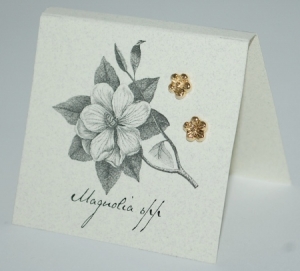 Magnolia Natural History Earrings - gold