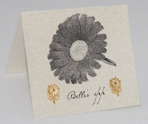 Daisy Natural History Earrings - gold