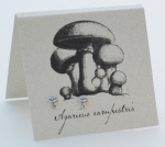 Mushroom Natural History Earrings