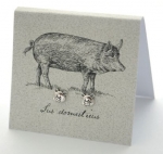 Pig Natural History Earrings - silver