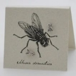 Fly Earrings - silver