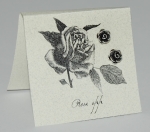 Rose Natural History Earring