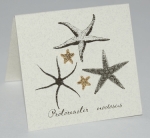 Starfish Natural History Earrings - gold