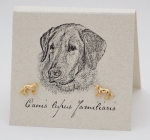 Retriever Natural History Earrings - gold