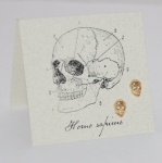 Skull Natural History Earrings - gold