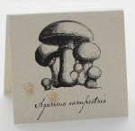 Mushroom Natural History Earrings - gold