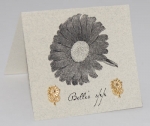 Daisy Natural History Earrings - gold