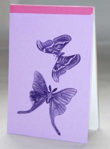 Moth Notebook