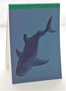 Shark Animalife Notebook