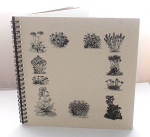 Wildflower Explorer Journal