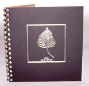 Aspen Embossed Journal