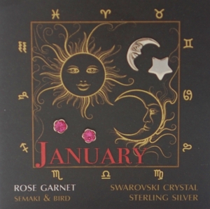 January Double Set Birthstone Earrings
