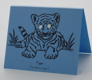 Aurora Tiger Eyes