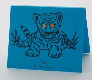 Amber Tiger Eyes