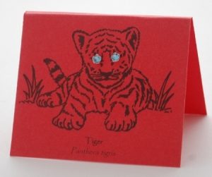 Aquamarine Tiger Eyes