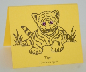Amethyst Tiger Eyes