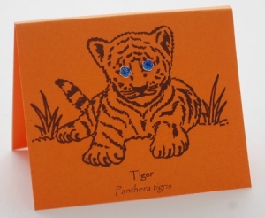 Sapphire Tiger Eyes
