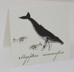 Whale Natural History Earrings