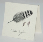 Feather Natural History Earring